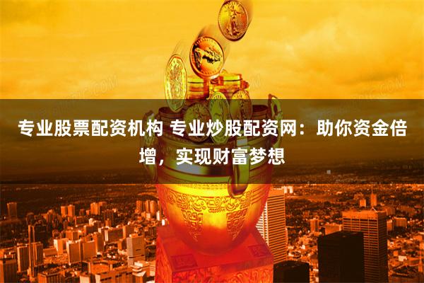 专业股票配资机构 专业炒股配资网：助你资金倍增，实现财富梦想